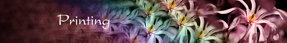 print advertising header